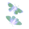 Schmetterling grün/blau