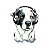 Rexo, der audiophile Hund