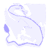dragon carré