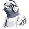Zaki le pigeon audiophile