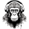 Chita the audiophile monkey