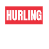 Irish Dublin Hurling