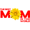 La meilleure maman du monde