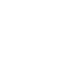 Drone Pilot