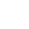 Drone Pilot