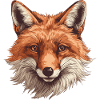 Fuchs Kopf Wald Tier Natur