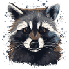 Raccoon Raccoon Nature Raccoon Head