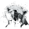 Eisbär Polarbär Bär