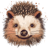Igel Igelkopf Tier Wald Natur