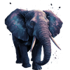 Elefant Afrika