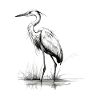 Heron