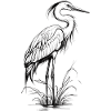 Heron