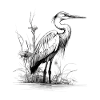 Heron