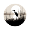Heron in reeds