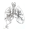 FunWithLungs