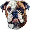 Bulldog dog breed