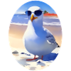 Mouette fraîche