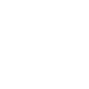 2006