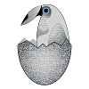 TUCANATA CLASSIC SILVER EDITION