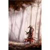 The Lonely Samurai