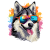 Alaskan Malamute Wearing Sunglasses