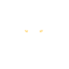 Savage Spirit