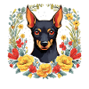 Cadeau pour chien Pinscher