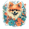 Pomeranian Dog Gift