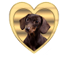 Dachshund - Dog lover - Dog heart