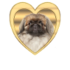 Pekingese - Dog Lovers - Dogs Heart