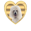 Poodle - Dog Lovers - Dogs Heart