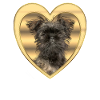 Affenpinscher - Dog lover - Dog heart