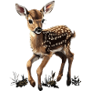 Fawn Forest Nature