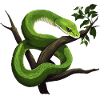 Serpent Mamba vert