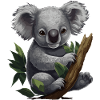 Koala Mignon Koala Ours