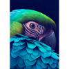 Buntes Vogelgesicht