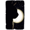 Moon Cat