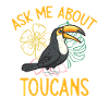 Toucan Bird Rainforest