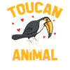 Toucan Bird Rainforest