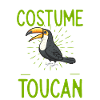 Toucan Bird Rainforest
