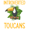 Toucan Bird Rainforest