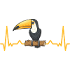Toucan Bird Rainforest