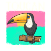 Toucan Bird Rainforest