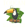 Toucan Bird Rainforest