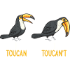 Toucan Bird Rainforest