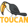 Toucan Bird Rainforest