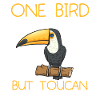 Toucan Bird Rainforest