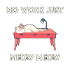 Hard-working cat