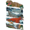 Jurassic World Forskellige dinosaurer