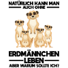 Tiere Erdmännchen Erdmännchene Geschenk